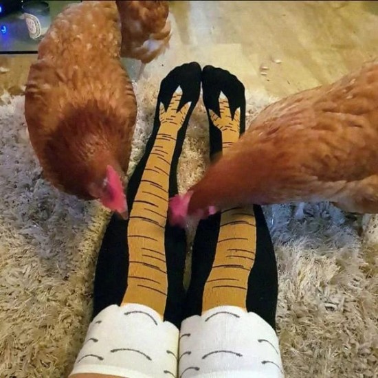 Tavuk Bacağı Unisex Dizaltı Çorap