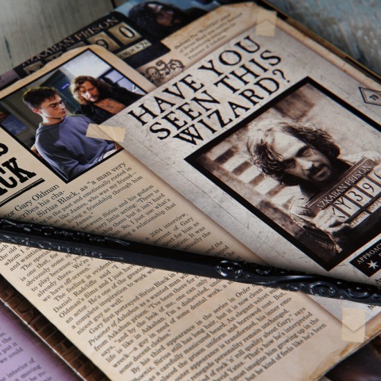 Lisanslı Harry Potter Sirius Black Asa