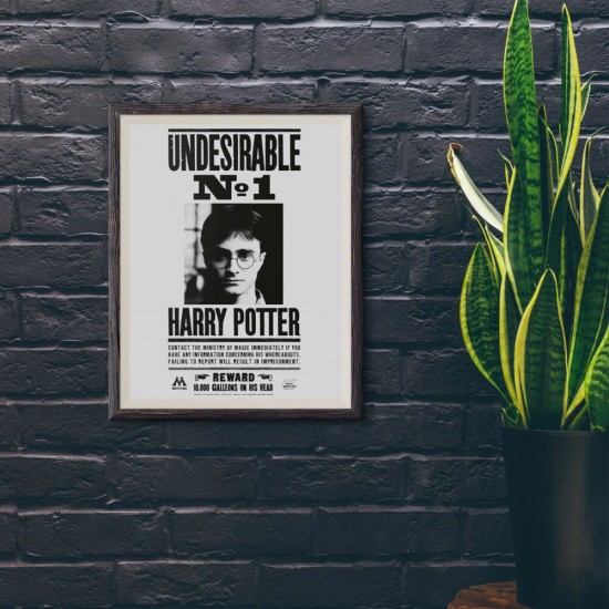 Harry Potter Wanted Poster