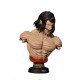 Attack on Titan - Eren Yeager Titan Vers. Büst Attack on Titan - Eren Yeager Titan Vers. Büst