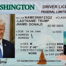 Dükkan Design Donald Trump Parodi Ehliyet/Kimlik Kartı (Hediye ve Şaka Amaçlıdır)