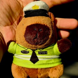 DÜKKAN DESİGN CAPYBARA PELUŞ ANAHTARLIK