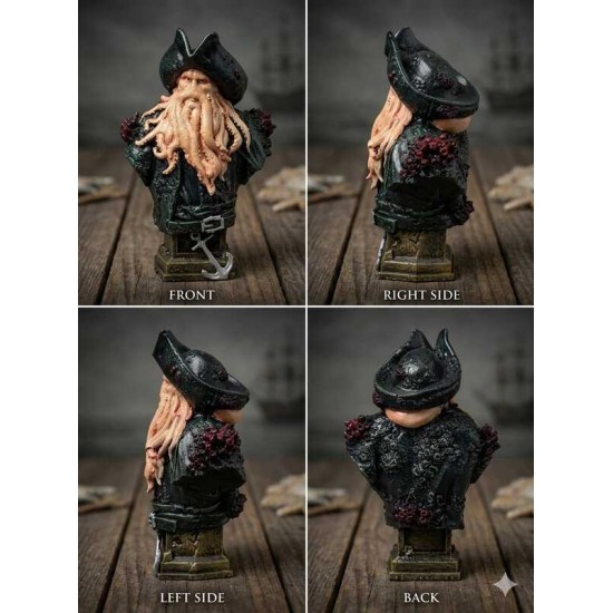 DÜKKAN DESİGN DAVY JONES BİBLO