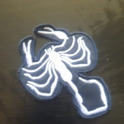 The Scorpion patch yama