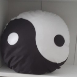 Ying Yang