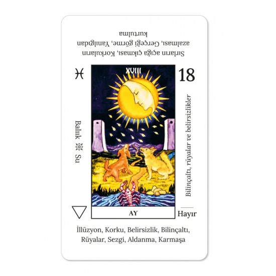 DÜKKAN DESİGN BAŞLANGIÇ TAROT SETİ