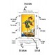 DÜKKAN DESİGN BAŞLANGIÇ TAROT SETİ